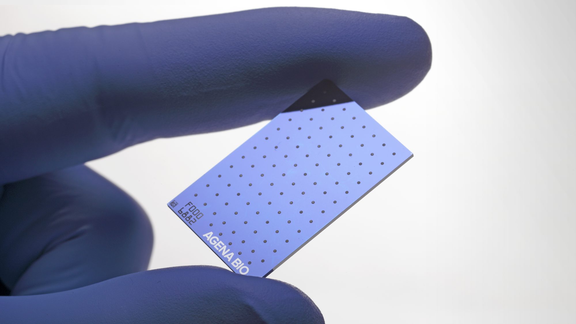 SpectroCHIP®, Analysechip der MassARRAY®-Plattform